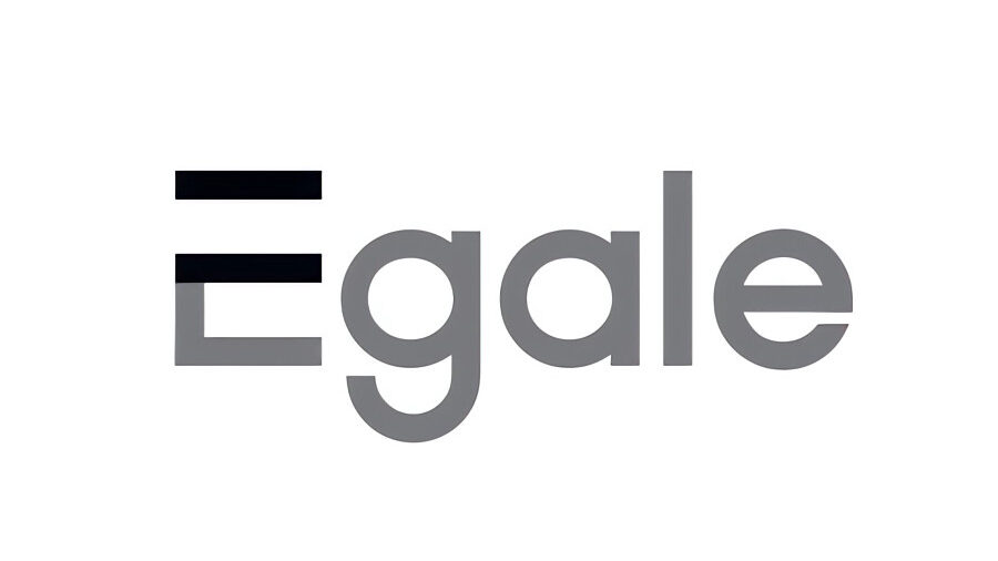Logo of Egale Canada featuring the word “Egale” in grey with a stylized capital E composed of black and grey bars, symbolizing equality.